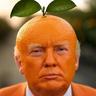 Tariff lover