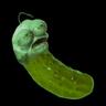 SUPER PICKLE