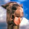 gerald