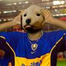 Cachorrão
