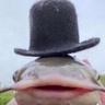 bigestfish