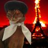 Cat au Chocolat