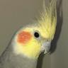 Schmerz