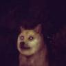 Raccoon Munching Dog