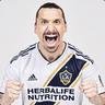 Zlatan ❤
