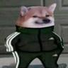 YM DOG