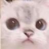 Shiroix