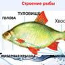 комсомольск на амуре