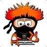 ginger ninja