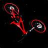 BikerPro11