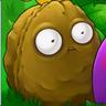 The Nut