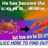 Long Boy