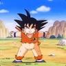 GOKU-KOOOSIT