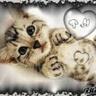 Ilovepizzaandfishies