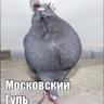 дурачок