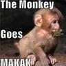 Makak