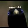 Fled Fled
