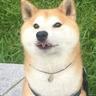 karma