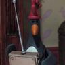 Feathers McGraw