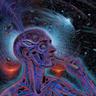 Enigma