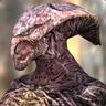 Skorpy