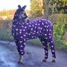 Funnyhorse