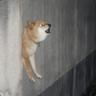 lonewolf3546