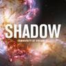 Shadow