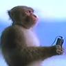 Monke