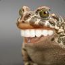 immaFROG