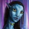 Ximimalvarve