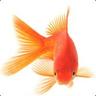 GuPPi