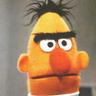 Bert