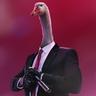 csgoose