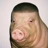 LiL System