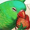 birb