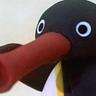 NOOT