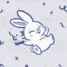 ✪ NMz` 토끼