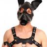 dvale's slave