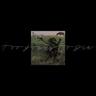 ABSTRACT - PE CASETA ON YOUTUBE