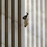 Falling Man
