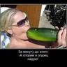 [SOSI]огурец средни