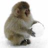 snow_munkey