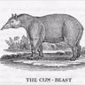 The Cumb Beast
