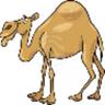 iKamel