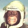 Original Astronaut