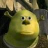 Olive Noggin