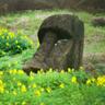 moai'