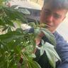 BeBoSaurusKeTaRus