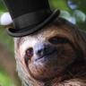 Mr. Sloth